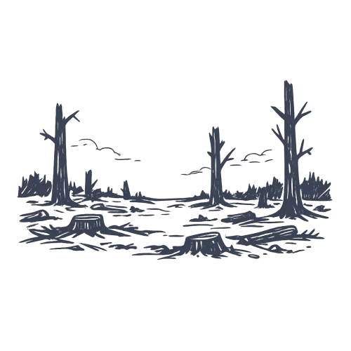 Planting Trees for Tomorrow