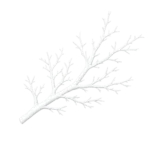How Trees Interact with Us