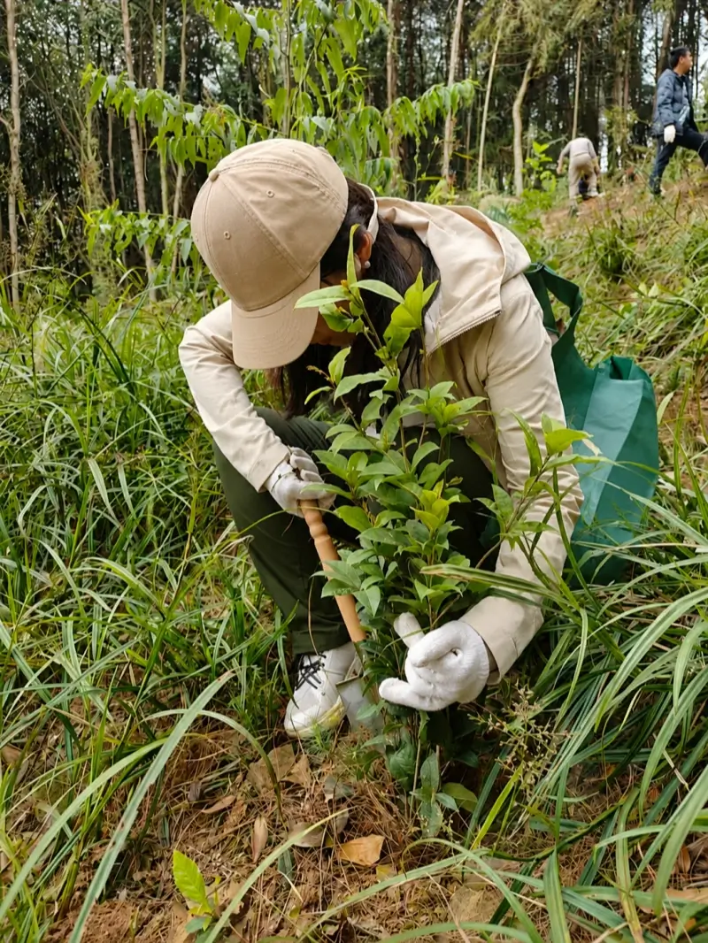 Planting Trees for Tomorrow