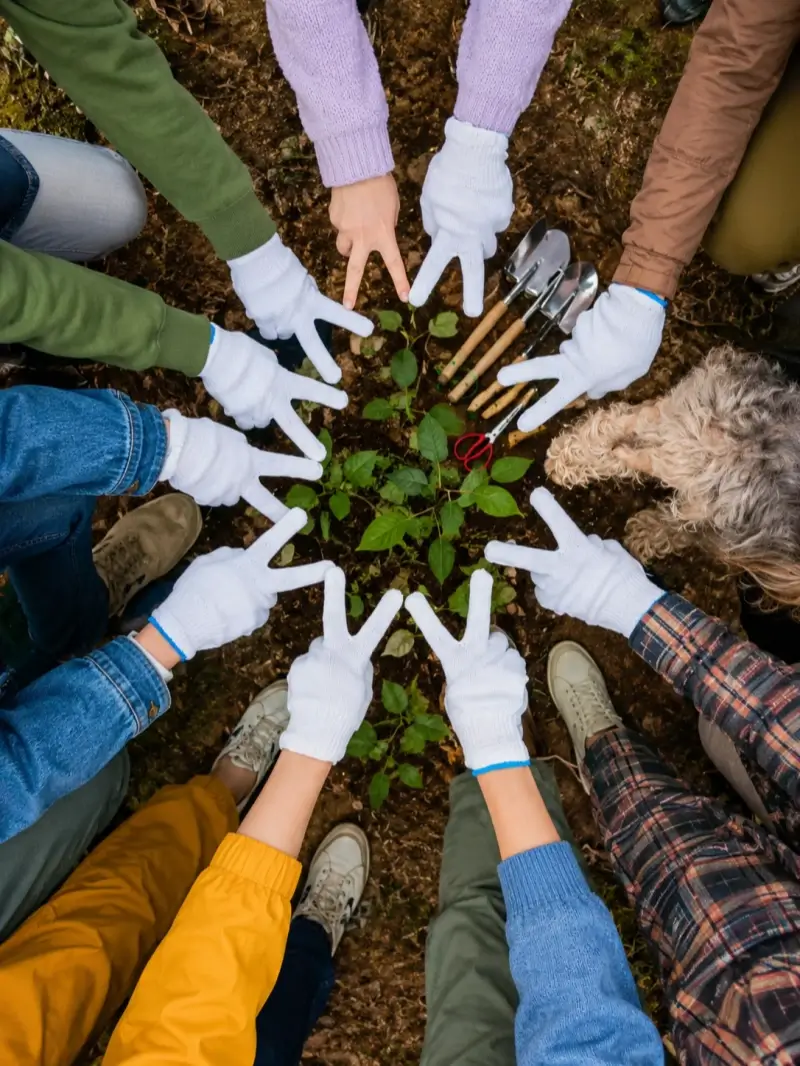 Planting Trees for Tomorrow